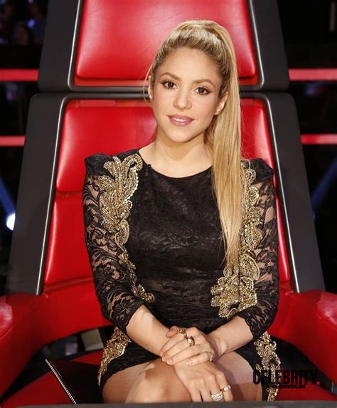 shakira wikipedia|More.